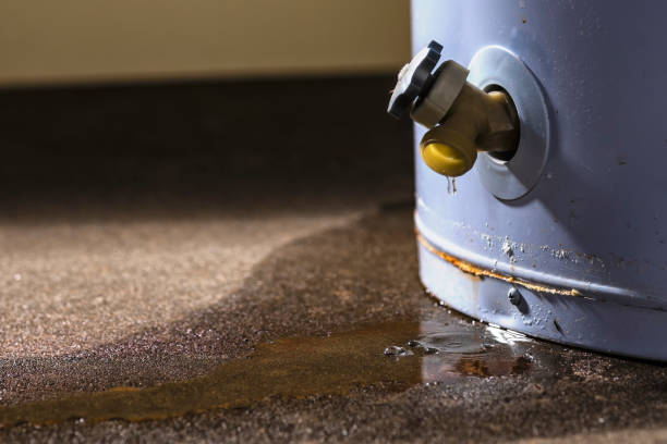 Best Water damage cleanup near me  in Cactus Flats, AZ