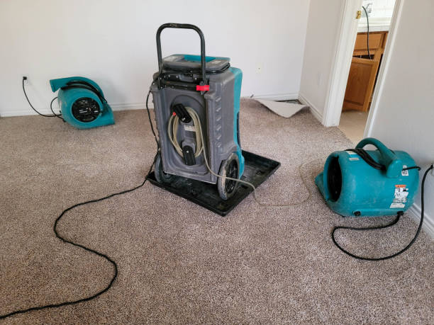 Best Water damage restoration experts  in Cactus Flats, AZ