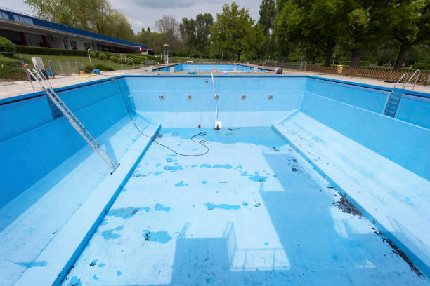 Best Basement water damage restoration  in Cactus Flats, AZ