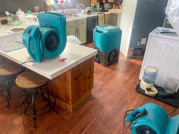 Best Carpet water damage restoration  in Cactus Flats, AZ