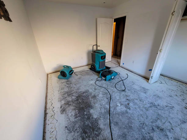 Best Water damage restoration process  in Cactus Flats, AZ