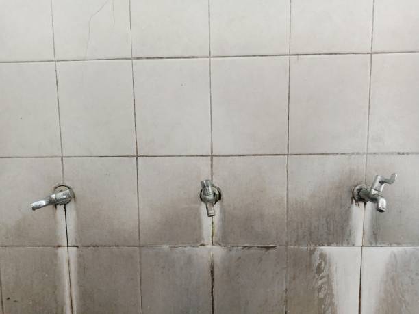 Best Flood restoration services  in Cactus Flats, AZ