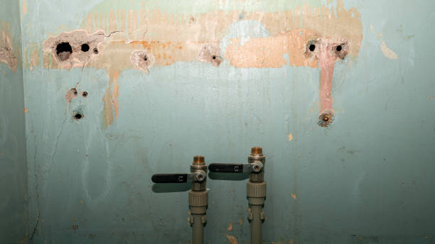 24/7 water damage repair in AZ