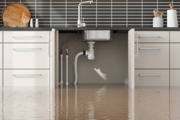 Best Emergency water extraction  in Cactus Flats, AZ