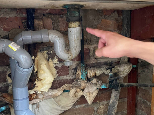 Best Emergency water damage restoration  in Cactus Flats, AZ