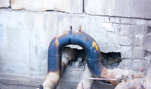 Best Sewage cleanup and water damage restoration  in Cactus Flats, AZ