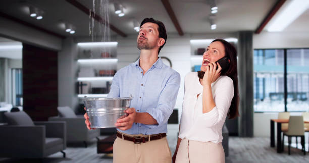 Best Water damage restoration near me  in Cactus Flats, AZ