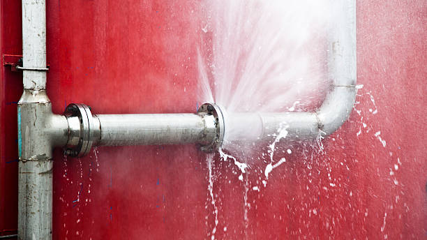 Best Water damage restoration near me  in Cactus Flats, AZ