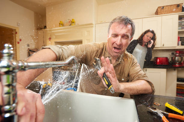 Best Fire Damage Restoration  in Cactus Flats, AZ